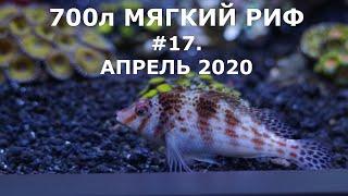 мягкий риф 700. кудрепёр сокол. флисовый барабанный фильтр. №17. мая 2021.