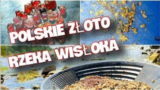 Polskie Złoto na wschodzie - rzeka Wisłoka