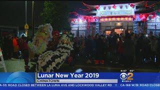 Year Of The Pig Celebrated In Downtown LA