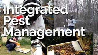 Integrated Pest Management - My Take On Varroa Control