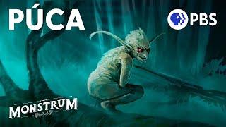 Was Púca the Nightmare Bunny That Inspired Donnie Darko? | Monstrum