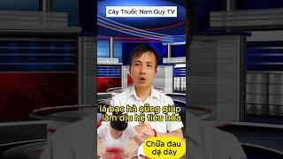 Chữa Đau Dạ Dày Bằng Cây Thuốc Nam Hiệu Quả Bất Ngờ! #caythuocnamquytv #caythuocnamquy #caythuocnam