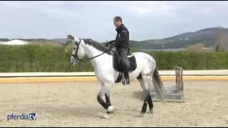 Pedro Torres: Working Equitation DVD