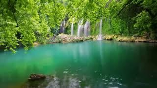 Relaxing Waterfall in the Forest with Nature’s Sounds & Birds Chirping – Ultimate Tranquility