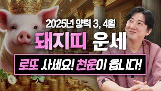 2025년 을사년 양력 3, 4월 돼지띠 운세 / 두 번 다시 없을 최고의 천운이 옵니다! / 95년생, 83년생, 71년생, 59년생