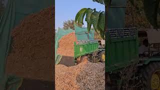 कुट्टी मशीन | Chaff Cutter Kutti | चारा व्यवस्थापन | Fodder Management #farming #farmer #shorts #yt