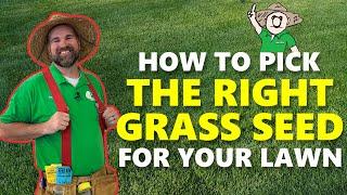 How to Pick Out the Best Grass Seed for your Lawn