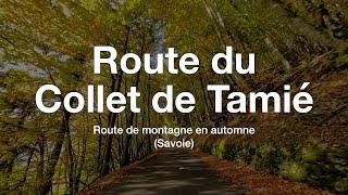 Route du Collet de Tamié