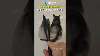 【大陸】活靈活現！陝西一女生繪製水墨貓咪細節滿滿栩栩如生