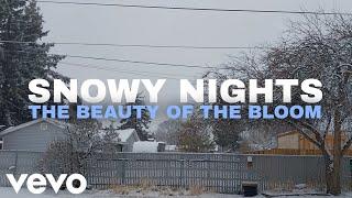 Snowy Nights - The Beauty Of The Bloom (Official Lyric)