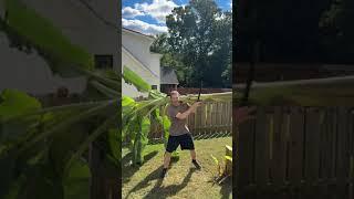 Chopping down banana tree