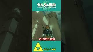 【ティアキン】バネ台を作動させず絶壁を上れ！！救世主はまさかのカボチャ！？【祠攻略】＃Shorts