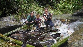 30 days of harvesting stream fish, trapping pigs, building farm life, SURVIVAL ALONE