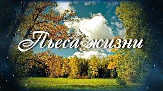 ПЬЕСА ЖИЗНИ