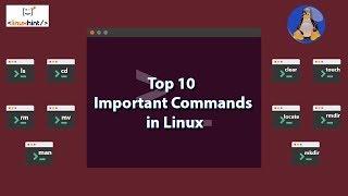 Top10 Useful Commands in Linux