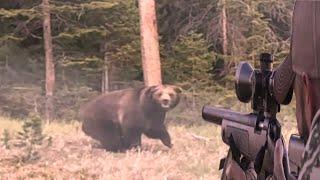One of the most amazing confrontations between the bear and the hunter