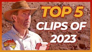 Your Favourite Coight Clips of 2023! | All Aussie Adventures