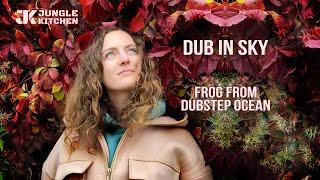 Livestream Dub.In.Sky - Frog from Dubstep ocean dj set at Jungle Kitchen