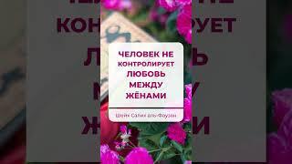 Как соблюдается справедливость между жёнами? Шейх Салих аль-Фаузан