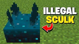 Why I'm Using Illegal Minecraft Sculk Sensor On This Minecraft Smp...