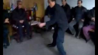 Song Style Xingyi Thrust Punch