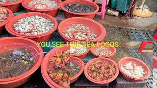 Cheapest Fresh Sea food For mukbang in korea gijang  market busan sout korea