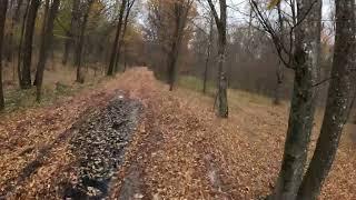 November Bike Trip. Capriana Forest. Moldova. 2024-11-09