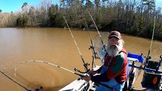 Shallow Water MONSTER Blue Catfish