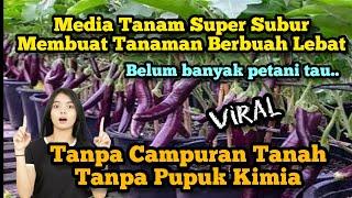 Cara membuat media tanam yang super subur, tanpa campuran tanah ..!!!