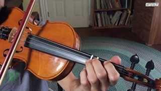 Wildwood Flower - Basic Fiddle Lesson