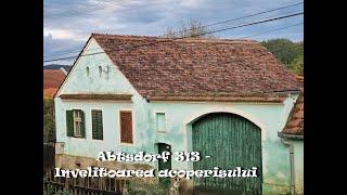 Abtsdorf 313 - Invelitoarea acoperisului