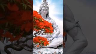 Mahadev WhatsApp Status  |Bholenath status | Mahakal Status  |#shorts #ytshorts #Parsu official