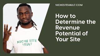 How To Determine Revenue Potential of a Niche Site