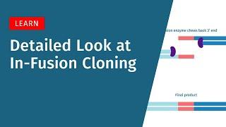 A Detailed Look at In-Fusion Cloning