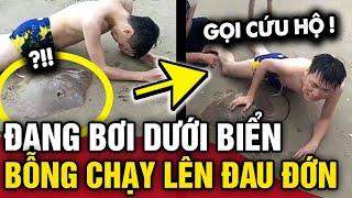 Đang BƠI DƯỚI BIỂN, chàng trai bỗng CHẠY LÊN ĐAU ĐỚN vì bị cá đuối T.Ấ.N CÔNG | Tin 3 Phút