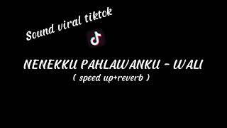 NENEKKU PAHLAWANKU - SPEED UP REVERB || SOUND VIRAL TIKTOK