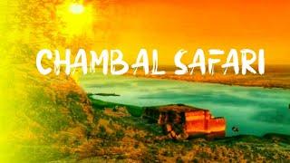 CHAMBAL SAFARI, MORENA || A Cinematic Travel film