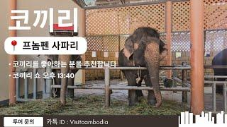 [ 캄보디아 자유 여행 ] - 프놈펜 사파리 Ep.2 : 오후 13:40 "코끼리"