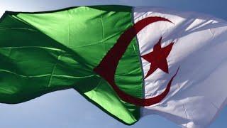 Expulsé vers l’Algérie, un ressortissant "au profil dangereux" et condamné renvoyé en France