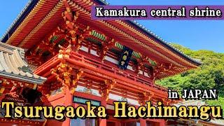 Tsurugaoka Hachimangu Shrine in Kamakura Tralev guide -Shrine in the center of Kamakura-