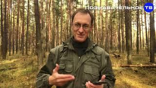 Евгений Пупырин. Бизнес на лохах. Шокирующая правда