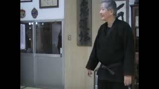 Ishizuka 2009 Bujinkan Budo Taijutsu (Japan dojo)