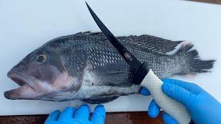 How to Fillet & Clean Black Sea Bass