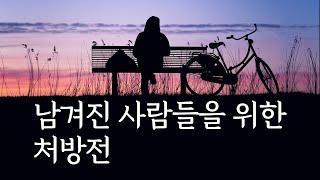 이별, 사별, 펫로스를 겪은 분들을 위하여 | 남겨진 사람들이 다시 일어나는 법