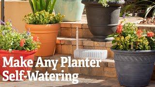 How To Make Any Planter Self-Watering ‍ Gardener's Supply