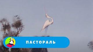 ЧЕРВЯК, КОТОРОМУ ВСЕ НАДОЕЛИ! Пастораль. Фильм в HD. STARMEDIAKIDS