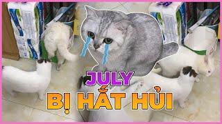 July bị hắt hủi? | maly.gaugau