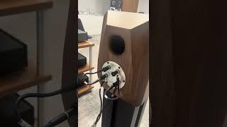 Diapason loudspeakers #audiophile #audio #hifi #loudspeaker #hifiaudio #highend