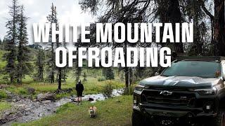 Exploring The White Mountains | 2023 Chevy Colorado  Off-road Camping