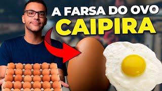 OVO CAIPIRA, OVO BRANCO ou JUMBO: Qual é MAIS SAUDÁVEL?